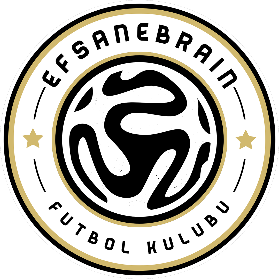 EfsaneBrain