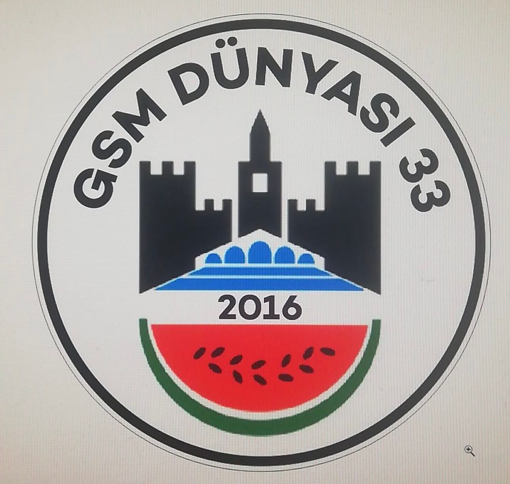 GSM DÜNYASI 33