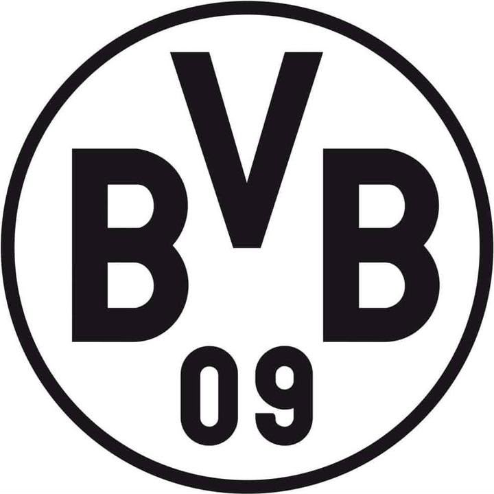 BORUSSIA VERBINDET 09