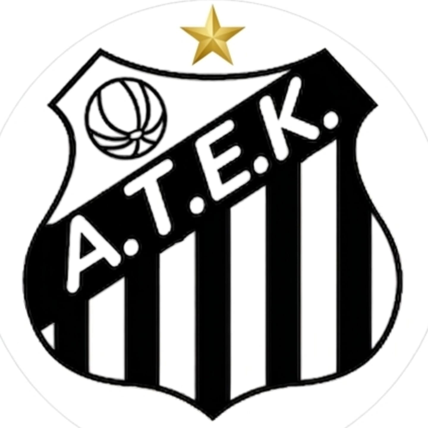ALTUN TEKNİK