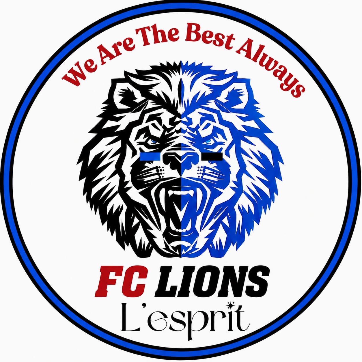 FC LIONS L'ESPRİT