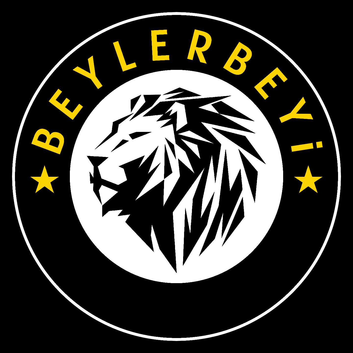 AYDIN TOZ BOYA BEYLERBEYİ 