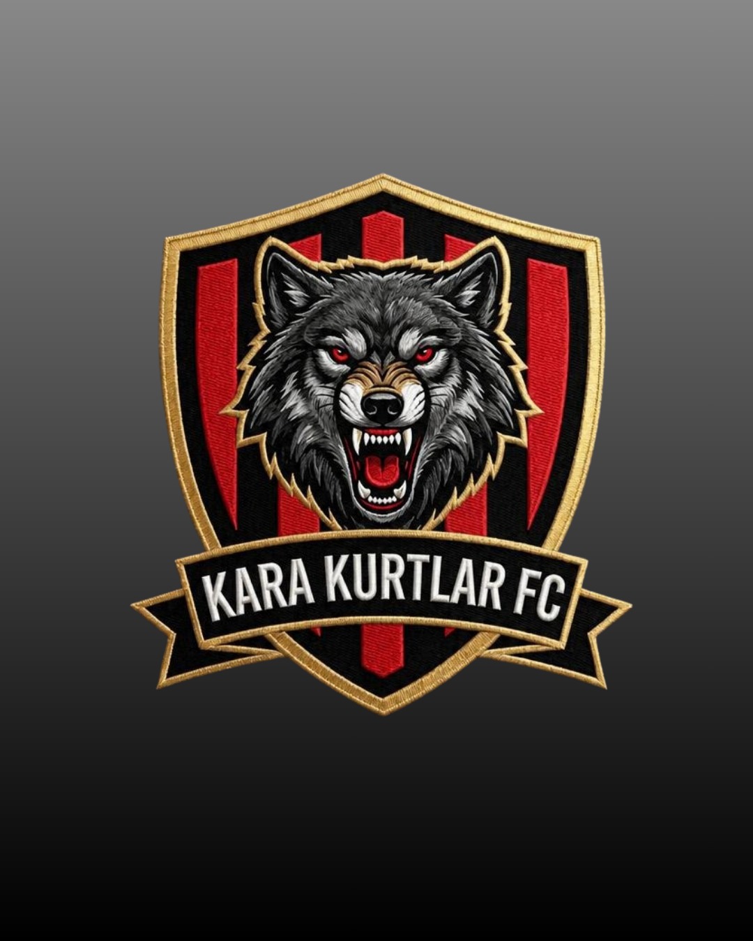KARA KURTLAR FC