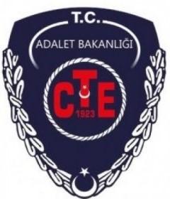 CTE D TİPİ
