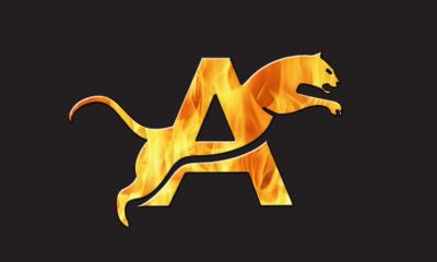 ARENA PLAYSTATİON