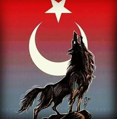 Bozkurt FC