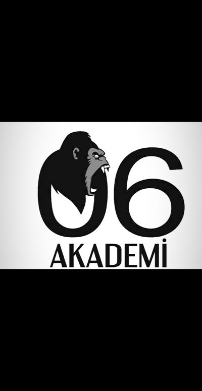 06 AKADEMİ