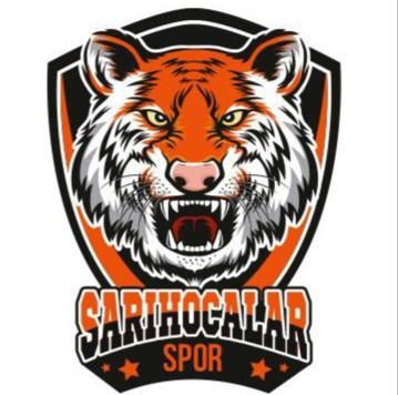 SARI HOCALAR FK