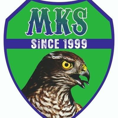 MEKANSIZLAR FC