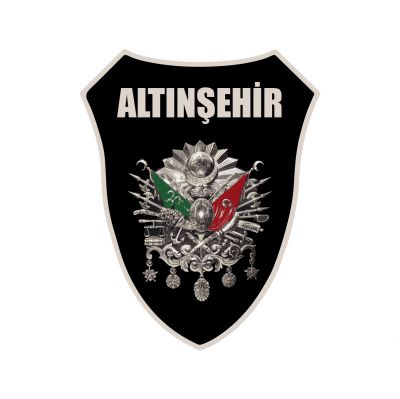 ALTINŞEHIR FC