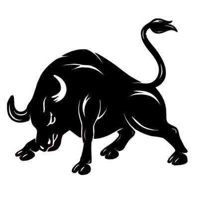 BOSPHORUS BULLS