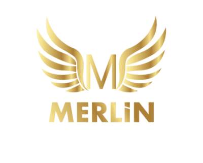 MERLİN FC