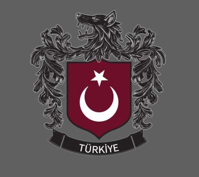 GÖKTÜRK FK