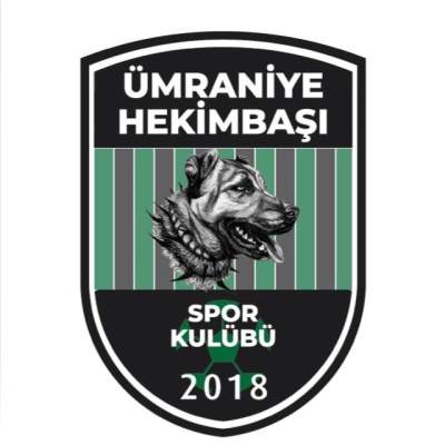 YİĞİDOLAR FC
