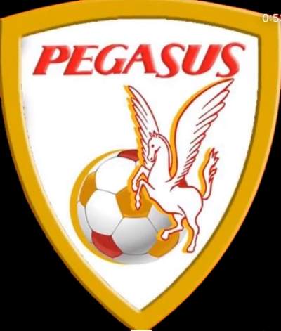 PEGASUS