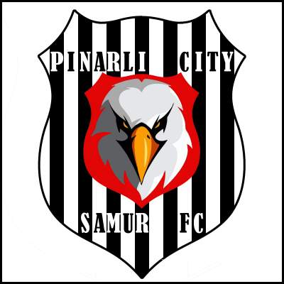 PINARLI CITY