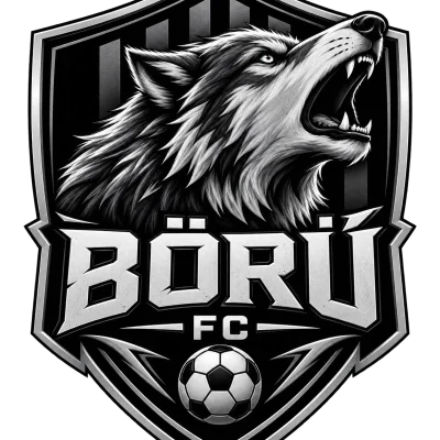 BÖRÜ FC