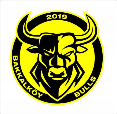 BAKKALKÖY BULLS