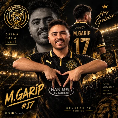 Mustafa Mert Garip